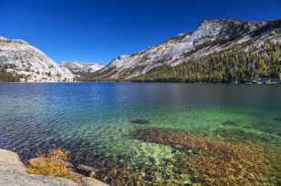 Tenaya Lake-4830.jpg